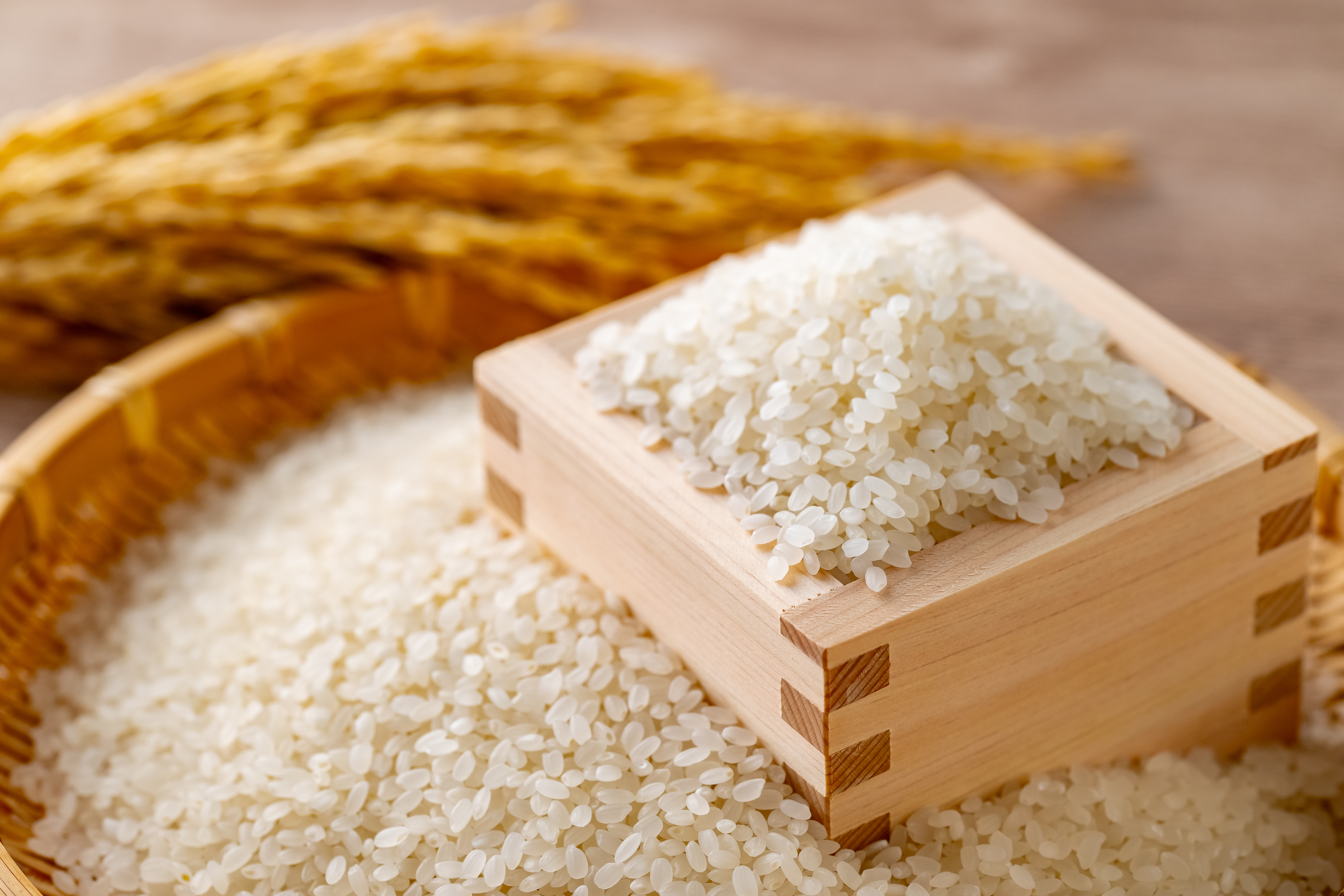 プロによる食味鑑定